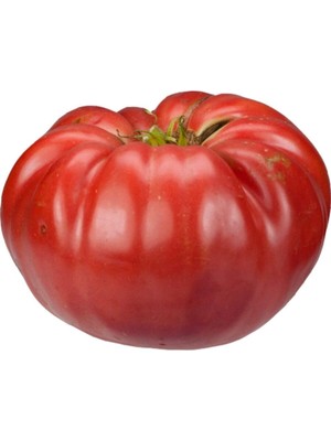 Şanal Gardenbox Iri Erkenci Domates Tohumu, 15 Adet, Bol Verim, Erken Hasat