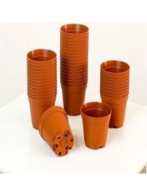 Şanal Bitkim Sende Katı Plastik Sukulent Saksısı, 10 Adet, Kahverengi, 5,5 cm