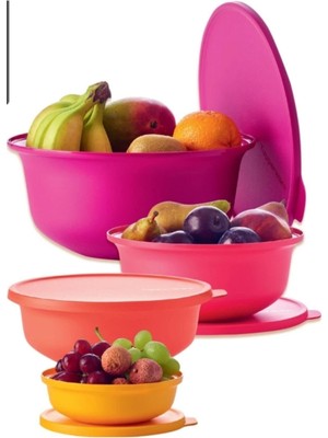 Şanal Tupperware Aloha Saklama Kabı 4'lü Set 4.5 Lt • 2 Lt • 1 Lt • 450 ml
