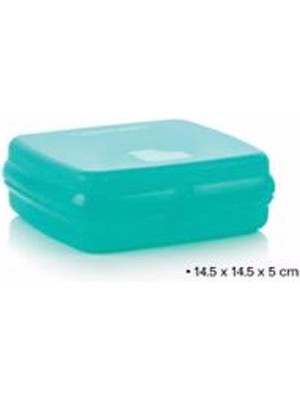 Şanal Tupperware Eko Plus Sandviç Kutusu Yeşil