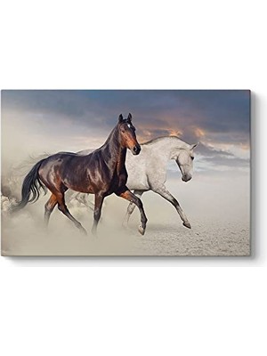 aklow akyoleticaret Rahvan At Tablosu 45 x 30