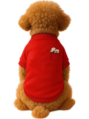 Şanal Mpz Pets Kedi ve Köpek Kıyafeti & Elbisesi Kırmızı Sweatshirt Papatya Cep S