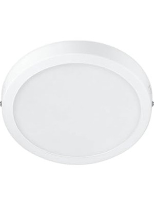 aklow akyoleticaret Magneos Yuvarlak Tavan Lambası 12W 1350 Lumen 4000K Gün Işığı (21 Cm)
