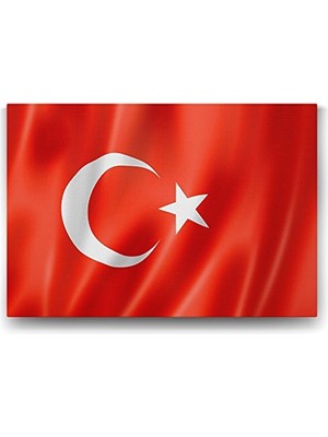 aklow akyoleticaret Türk Bayrağı Temalı Dekoratif Duvar Tablosu, 100X70 cm