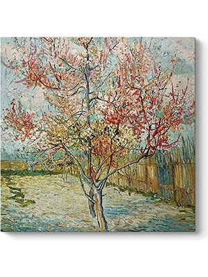 aklow akyoleticaret Vincent Van Gogh Pembe Şeftali Ağaçları Duvar Tablosu, 50 x 50