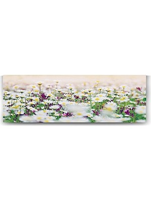 aklow akyoleticaret Papatya Tarlası Panorama Tablo, 120X40 cm