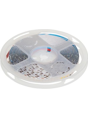 MSP CT-4538G 240 Çipli G.ışığı LED Şerit(5 Mt) Cata
