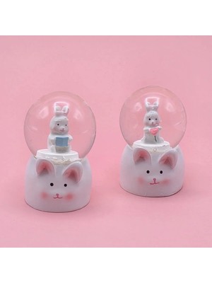 Givoria Mini Boy Tavşan Tasarımlı Kar Küresi HXCDR47