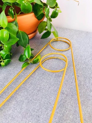 MSP Adet Bitki Destek Çubuğu – Altın Rengi Metal Kancalıiğne Model, 65 Cm, Sarmaşık ve Büyük Yapraklı Bitkiler Için
