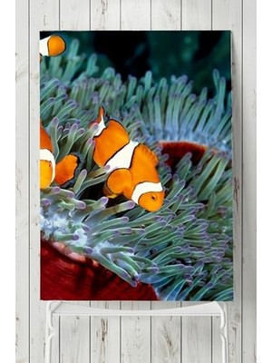 aklow akyoleticaret PSTER2762 Yeşil Balık Hayvan Posteri 40X60 cm