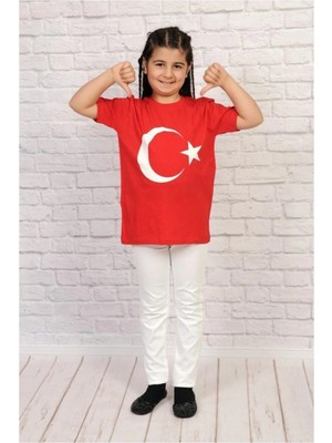 Alm Ay Yıldız Bayrak T-1