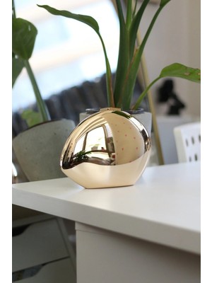 Moom Bag Kadın Gold Parlak Akrilik Kabuk Tasarımlı Abiye Çanta