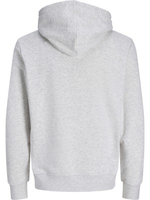 Jack & Jones Erkek Gögüs Baskili Regular Fit Kapüsonlu Sweatshirt - Roche