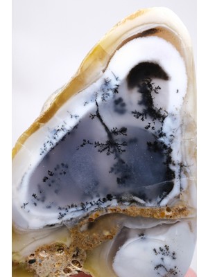 Healcrystal Çok Renkli Manzara Merlinite Dilimi - Manzaralı Dendritik Opal, 109G