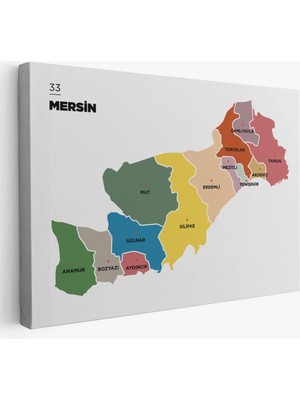 Cepahir Mersin Ili ve Ilçeler Haritası  Dekoratif Kanvas Tablo 1419
