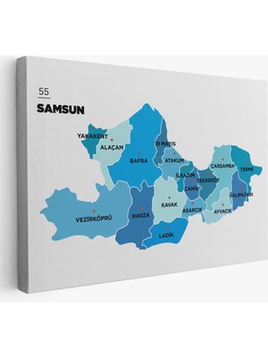 Cepahir Samsun Ili ve Ilçeler Haritası  Dekoratif Kanvas Tablo 1447