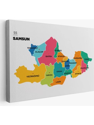 Cepahir Samsun Ili ve Ilçeler Haritası  Dekoratif Kanvas Tablo 1445