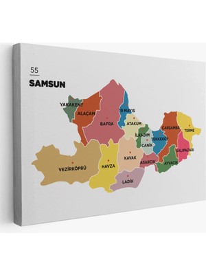 Cepahir Samsun Ili ve Ilçeler Haritası  Dekoratif Kanvas Tablo 1446