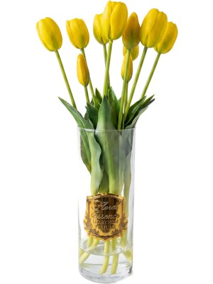 BRANDSMITHS Scented Tulips Soleil Bloom Sarı Laleler