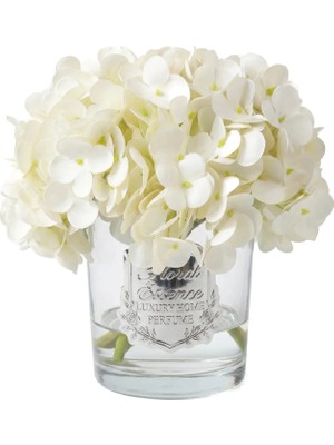 BRANDSMITHS Scented Hydrangeas Pearl Bloom Ortanca