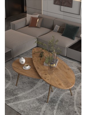 Just Cheap Store Elips Orta Sehpa Seti Suntalam Kahverengi 116X46