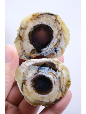 Healcrystal Parlatılmış Dendritik Opal Çifti - Odak Bantlarıyla Dumlu Çekirdek ve Pas-Turuncu Dendritler, 77G