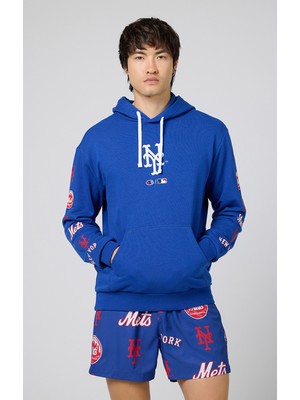 Champion Hooded Sweatshirt