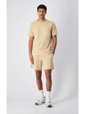 Champion Shorts