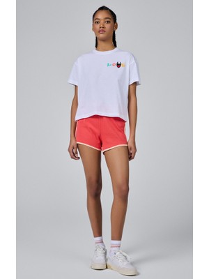 Champion Shorts