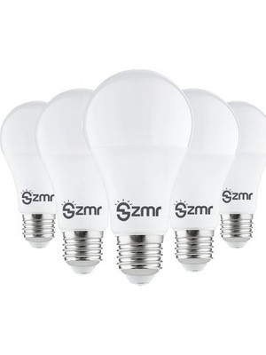 ZMR-163 15W Ampul 6500K 5 Adet