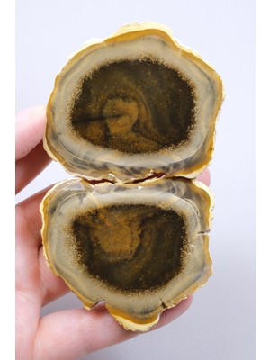 Healcrystal Koyu Bal Rengi ve Kehribar Tonlu Merlinit – Konsantrik Renk Bantlarına Sahip Dendritik Opal Çifti, 112 G