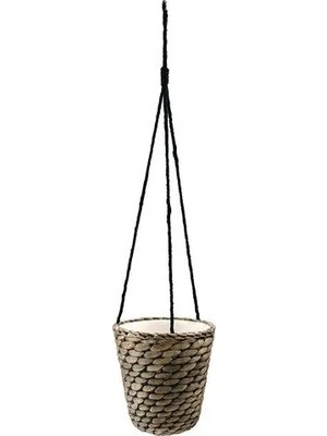 IKEA Druvfläder Asma Saksı , Su Sümbülü, 14 cm