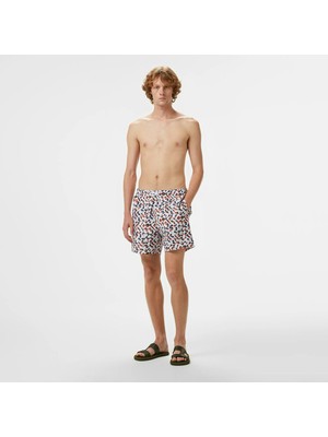 Nautica Men's Brown Swim Shorts