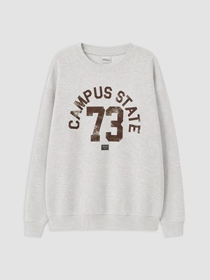 Lc Waikiki Yeni Sezon Gri Baskılı Erkek Çocuk Sweatshirt