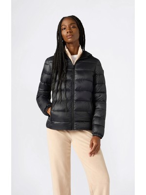 Champion Hooded Jacket