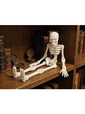 Halloween Cadılar Bayramı Temalı Hareketli Eklemli Flexi Iskelet Figür