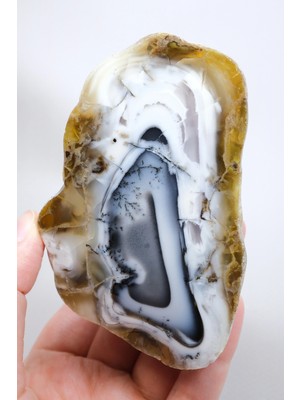 Healcrystal Çok Renkli Merlinit - Duman Gri Çekirdek, Süt Beyaz Çerçeve, Bal Kabuğu ve Siyah Dendritler, 320G