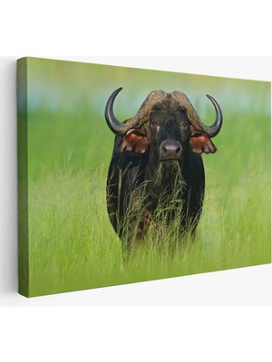 Cepahir Asya Mandası Duvar TABLOSU-6511