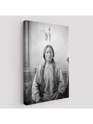 Cepahir Oturan Boğa Tablosu, Amerikaya Karşı Savaşan Son Kızılderili Kabile Şefi, Sitting BULL-6416