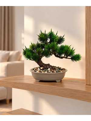 Lineva Dekoratif Tabakta Bonsai Ağacı – Ev & Ofis Masa / Raf Dekoru