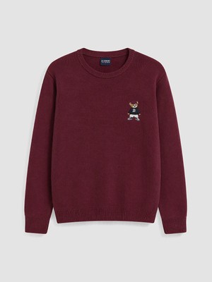 Lc Waikiki Yeni Sezon Kırmızı Bisiklet Yaka Ayı Teddy Baskılı Erkek Çoxuk Triko Kazak