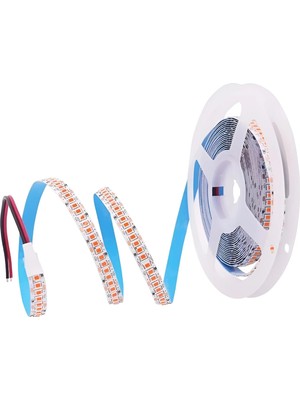 Cata Ct 4539G 240 Çip Premıum Şerit LED Günışığı (5 Mt)