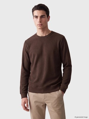 Lc Waikiki Yeni Sezon Kahverengi Bisiklet Yaka Erkek Kalın Sweatshirt