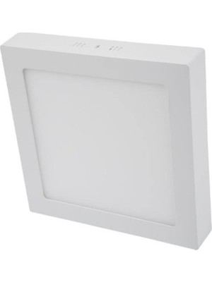 Die Grup Tr CT-5272 25W/6500K Alm. S.ü LED Armatür Kare (Beyaz) Cata