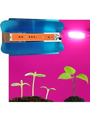 Die Grup Tr Tam Spektrum 50W 220V Cob LED Chip Çanak Bitki Büyütme Fito Işık
