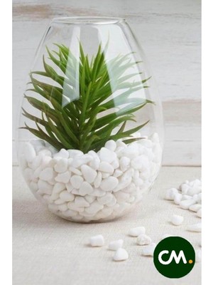 Die Grup Tr Cmdoğal Dolomit Taş 500 Gr, 1-2 Cm, Dekoratif Vazo, Akvaryum, Teraryum Taşı, Beyaz