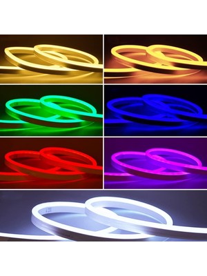 Die Grup Tr Sunlight Neon 12V Hortum Şerit LED 2/5/10 Metre Renkli Işık (Amber, 5)