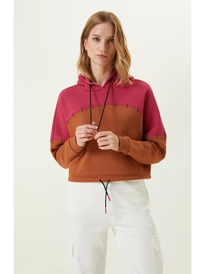 Network Brown Cotton Crop Sweatshirt