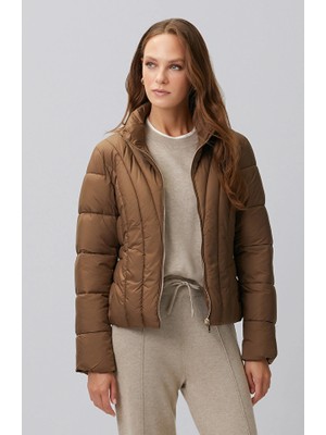 Network Brown Stand Collar Jacket