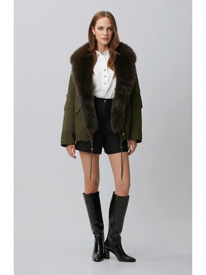 Network Black Wool Blend Shorts
